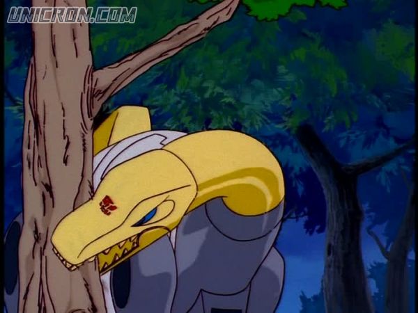 snap cap00236 snap cap00236