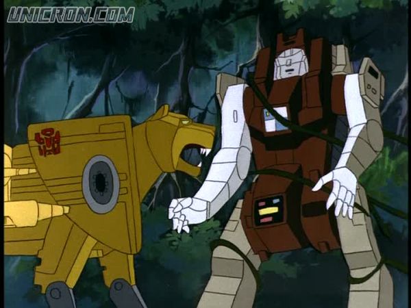 tf rotf00304 tf rotf00304