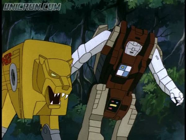 tf rotf00305 tf rotf00305