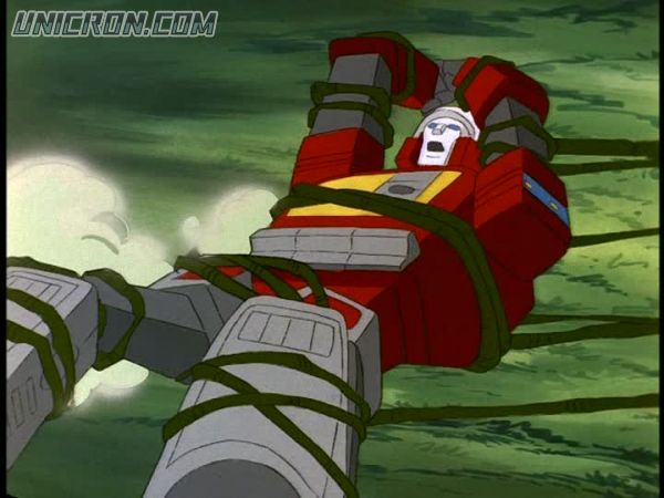 tf rotf00306 tf rotf00306