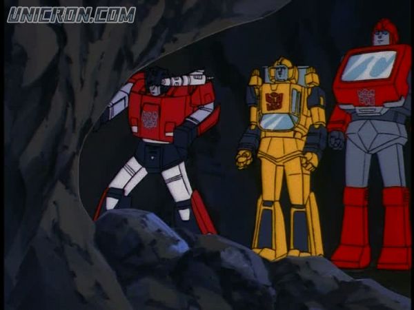 snap cap00113 snap cap00113