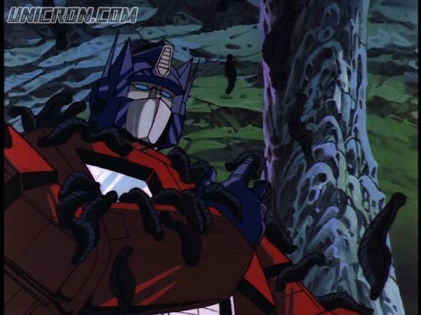 tf rotf00229 tf rotf00229