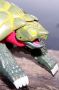 Transformers Beast Wars Snapper toy