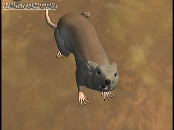 BEAST WARS 1 069 BEAST WARS 1 069