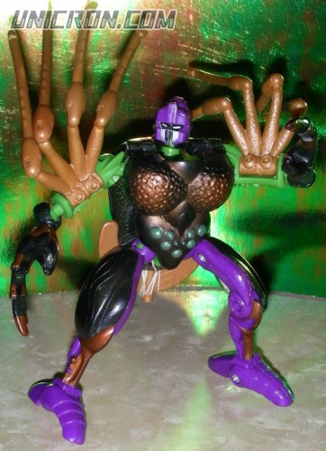 Transformers Beast Wars Blackarachnia toy Transformers Beast Wars Blackarachnia toy