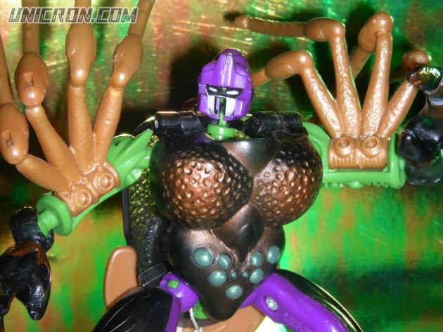 Transformers Beast Wars Blackarachnia toy Transformers Beast Wars Blackarachnia toy