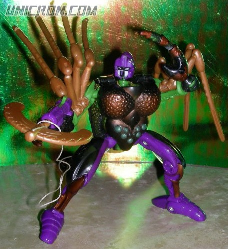 Transformers Beast Wars Blackarachnia toy Transformers Beast Wars Blackarachnia toy