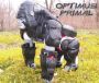 Transformers Beast Wars Optimus Primal toy