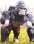 Transformers Beast Wars Optimus Primal toy