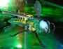 Transformers Beast Wars Waspinator toy
