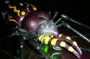 Transformers Beast Wars Tarantulas toy