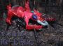 Transformers Beast Wars Inferno toy