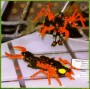Transformers Beast Wars Powerpinch toy