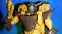 Transformers Beast Wars Airazor toy