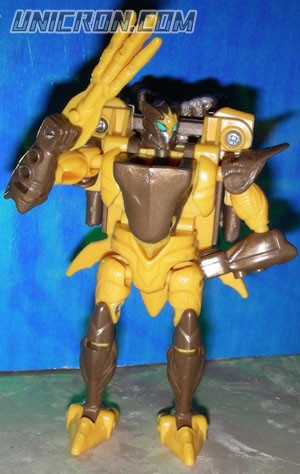 Transformers Beast Wars Airazor toy Transformers Beast Wars Airazor toy
