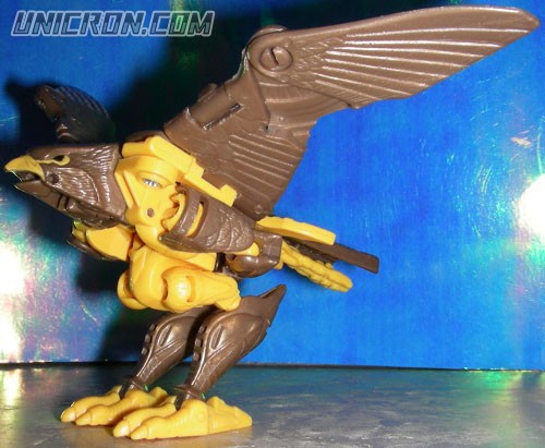 Transformers Beast Wars Airazor toy Transformers Beast Wars Airazor toy