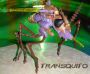 Transformers Beast Wars Transquito toy