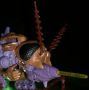 Transformers Beast Wars Transquito toy