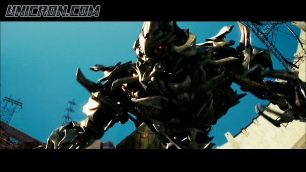 snap cap00916 snap cap00916