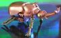 Transformers Beast Wars Tripredacus (Ram Horn, Sea Clamp, Cicadacon) toy