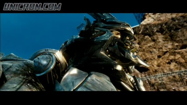 snap cap00919 snap cap00919