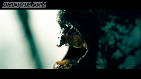 snap cap00014 snap cap00014