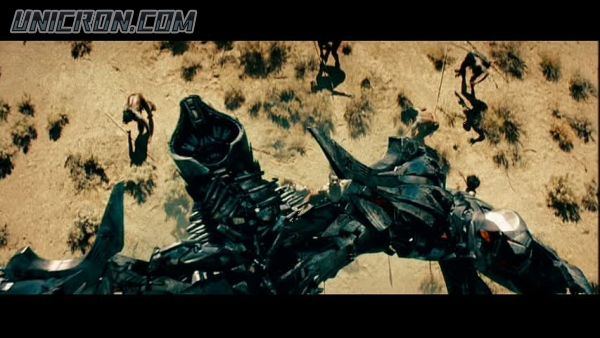 snap cap00020 snap cap00020