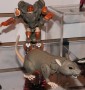 Transformers Generations Rattrap (Generations Deluxe) toy