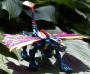 Transformers Beast Machines Geckobot toy