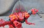 Transformers 4 Age of Extinction Scorn toy
