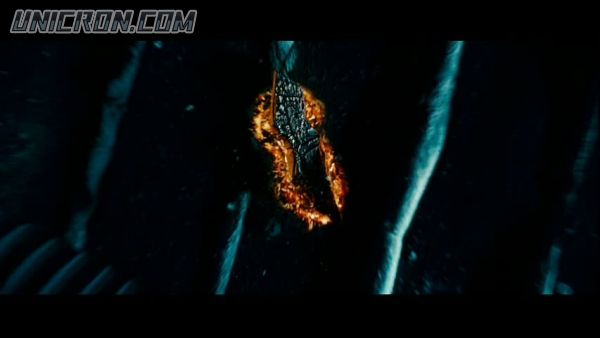 snap cap00320 snap cap00320