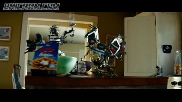 snap cap00322 snap cap00322