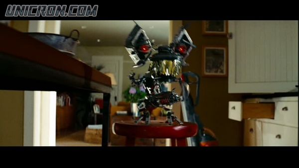 snap cap00324 snap cap00324