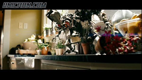 snap cap00337 snap cap00337