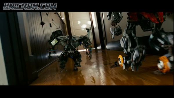 snap cap00345 snap cap00345