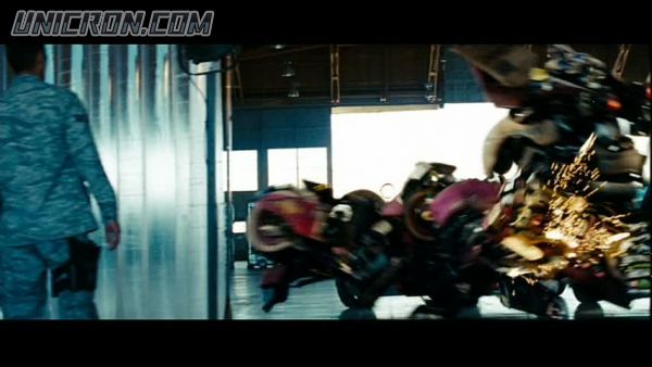 snap cap00449 snap cap00449