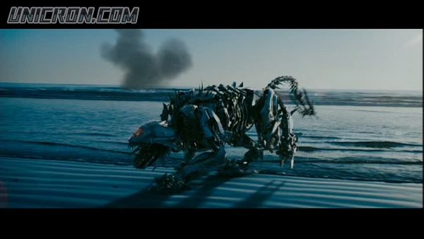 snap cap00576 snap cap00576