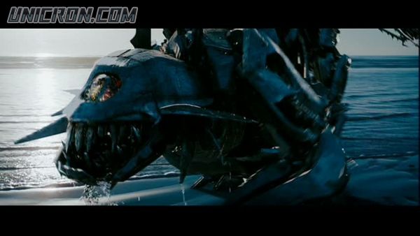 snap cap00579 snap cap00579