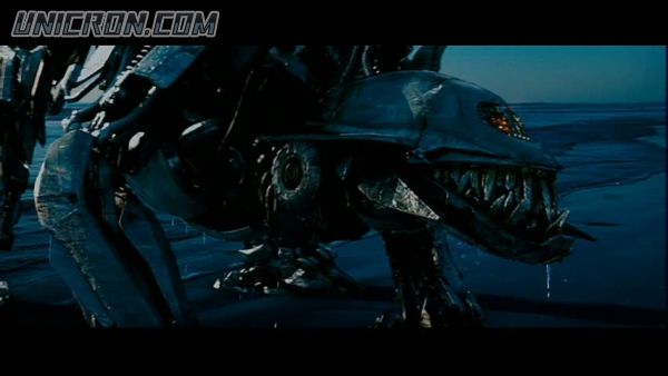 snap cap00581 snap cap00581