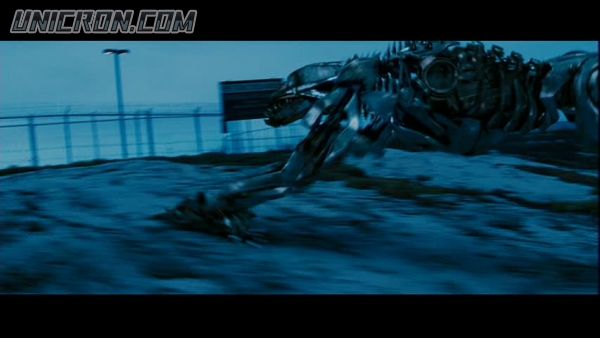 snap cap00582 snap cap00582