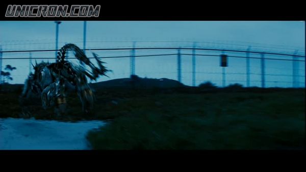 snap cap00583 snap cap00583