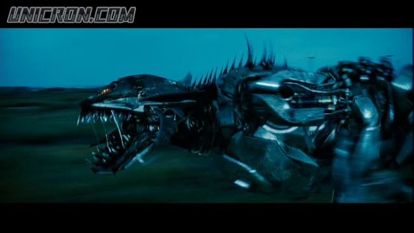 snap cap00587 snap cap00587