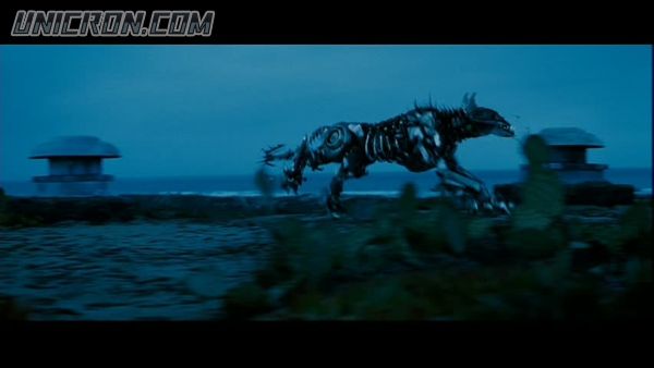 snap cap00588 snap cap00588