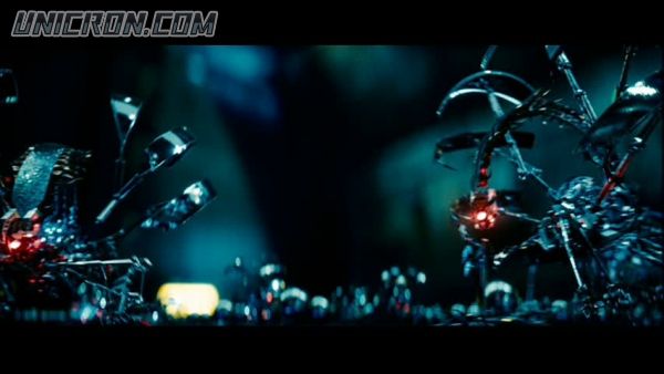 snap cap00594 snap cap00594