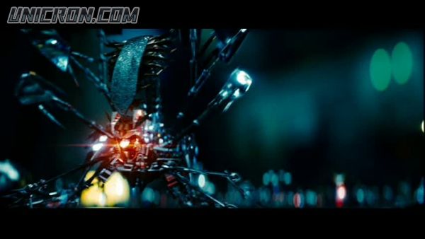 snap cap00595 snap cap00595