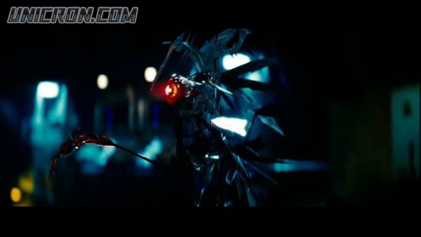 snap cap00599 snap cap00599