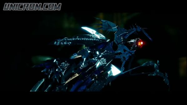 snap cap00600 snap cap00600