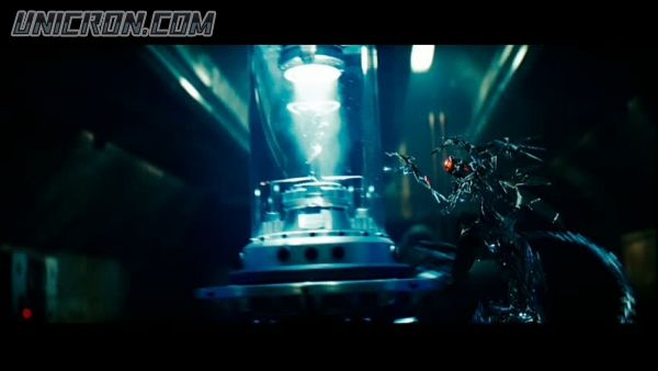 snap cap00601 snap cap00601