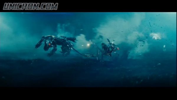 snap cap00616 snap cap00616