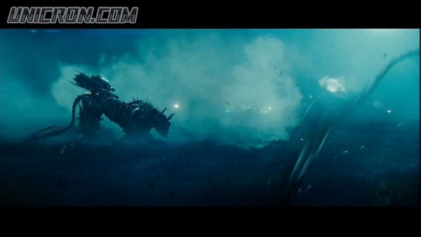 snap cap00617 snap cap00617